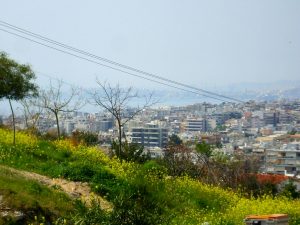 pani1