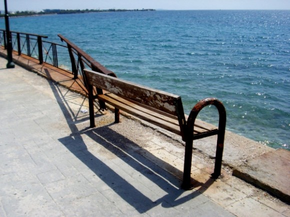 paralia paraloga (1)