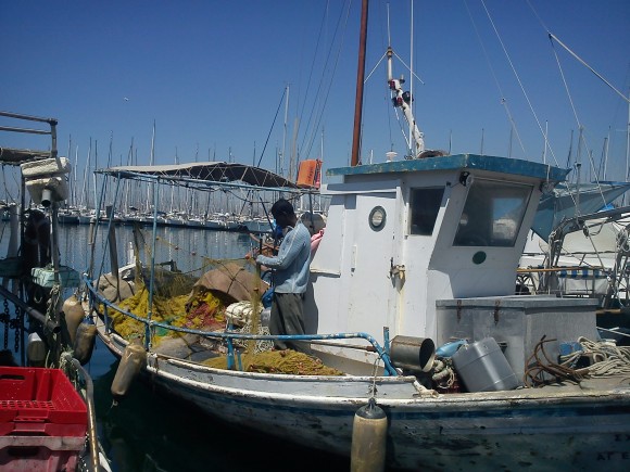 DSC01975