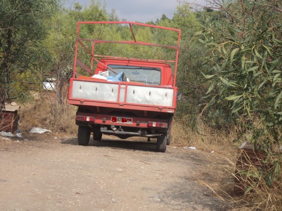pikroda5