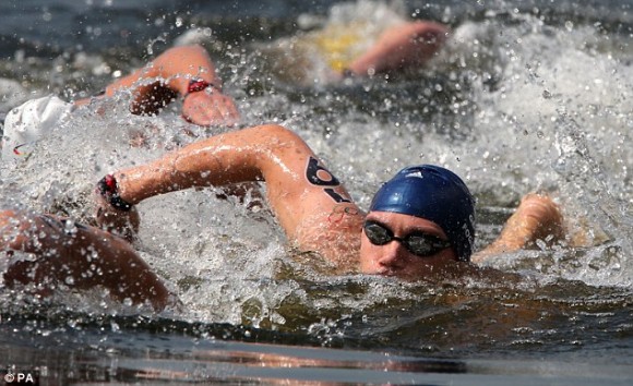 diaplous
