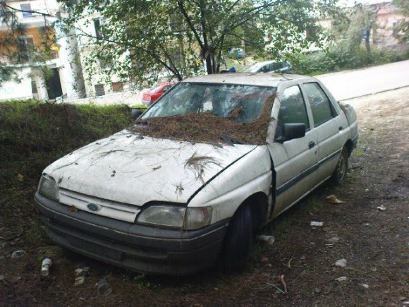 mpogias2