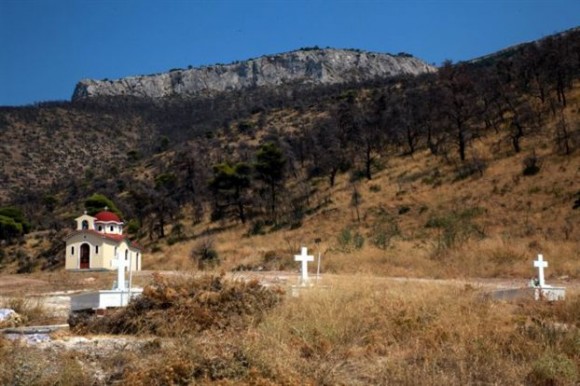 nektotafeioglyfadas