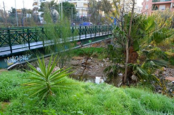 pikrodafnifaliro