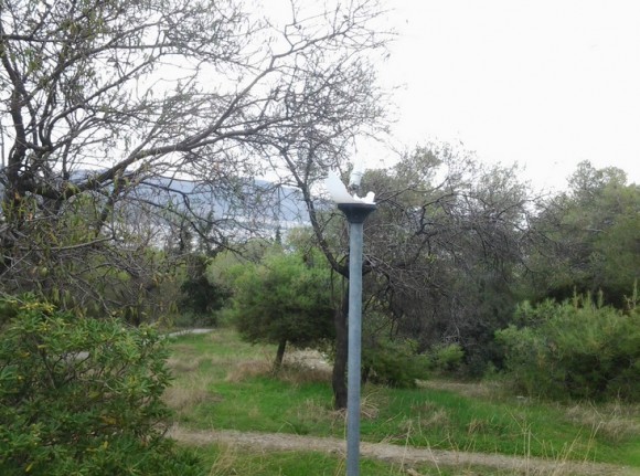 Στιγμιότυπο πλήρους οθόνης 1122014 23338 μμ.bmp