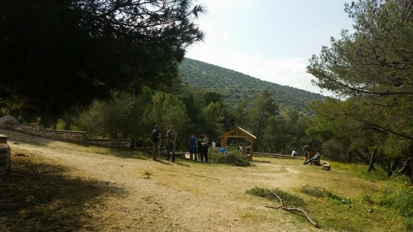 letsargy3