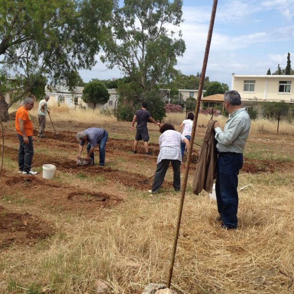 agrosel3