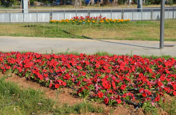 Στιγμιότυπο πλήρους οθόνης 462015 91019 μμ.bmp