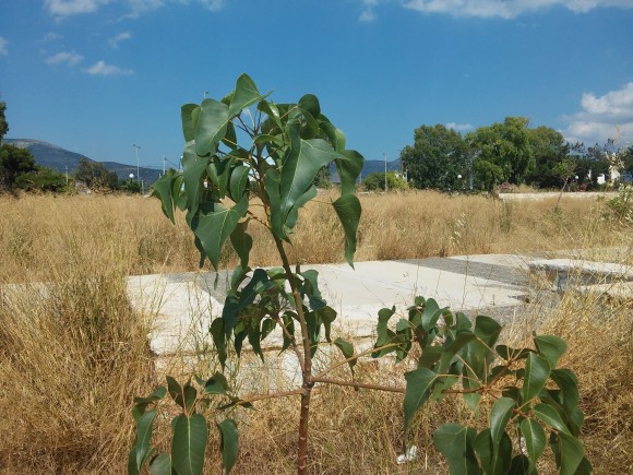 20150626_163236