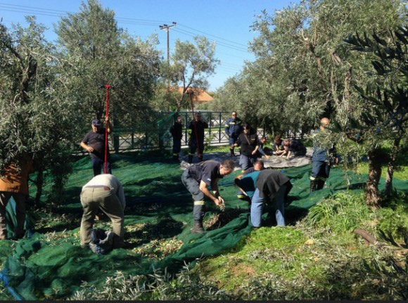Στιγμιότυπο πλήρους οθόνης 26102015 32604 μμ.bmp