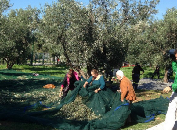 Στιγμιότυπο πλήρους οθόνης 26102015 32659 μμ.bmp