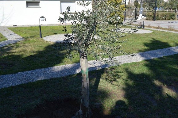 elia2