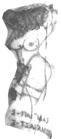 tatou1