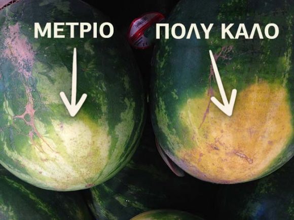 karpou2