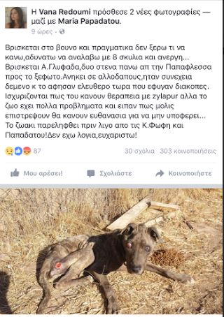 anoskylos1