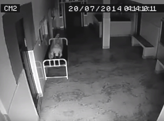 Στιγμιότυπο πλήρους οθόνης 1282016 111516 πμ.bmp